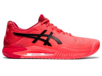 Asics Erkek GEL-RESOLUTION 8 TOKYO Tenis Ayakkabısı TR280ZR